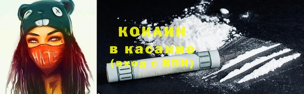 соль ск Вяземский