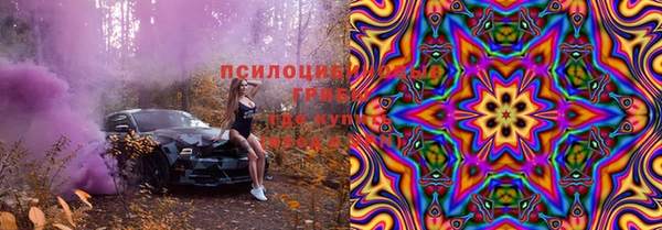 соль ск Вяземский
