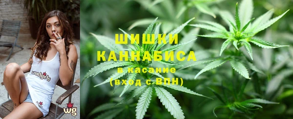 тгк Снежногорск