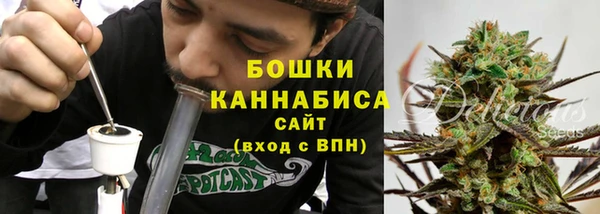соль ск Вяземский