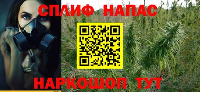 крисы Гусиноозёрск