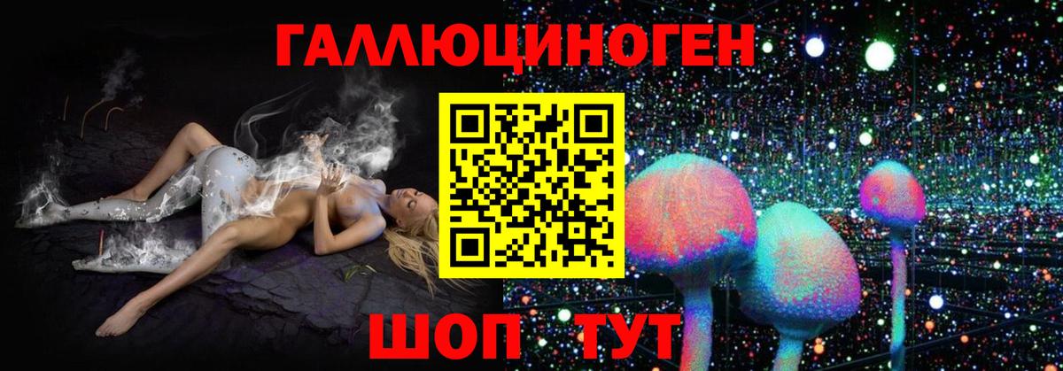 Верхняя Пышма  Псилоцибиновые грибы Psilocybine cubensis  Вход с VPN 